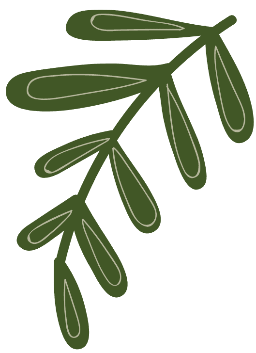 NGUYỄN THÙY TÂM NHƯ